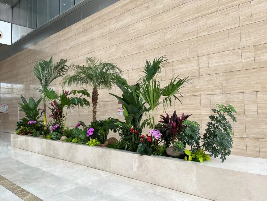 宁波海曙绿植出租 宁波海曙绿植出租